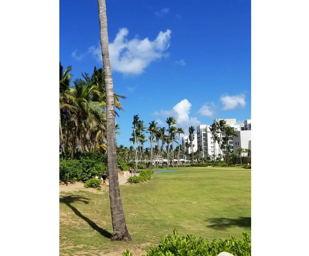 Beautiful Villa At The Wyndham Rio Mar Margaritaville Beach Resort Rio Grande Apartment